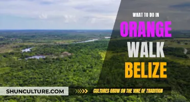 Explore Orange Walk, Belize's Undiscovered Gem