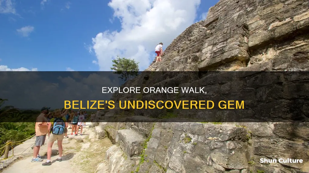 what to do in orange walk belize