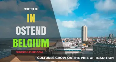 Discovering Oostende: Belgium's Coastal Gem and Its Hidden Treasures