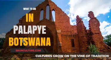 Discover Palapye: Top Attractions and Activities in Botswana's Hidden Gem