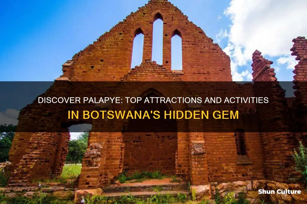 what to do in palapye botswana