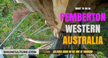 Exploring Pemberton, Western Australia: Nature, Food, and Adventure