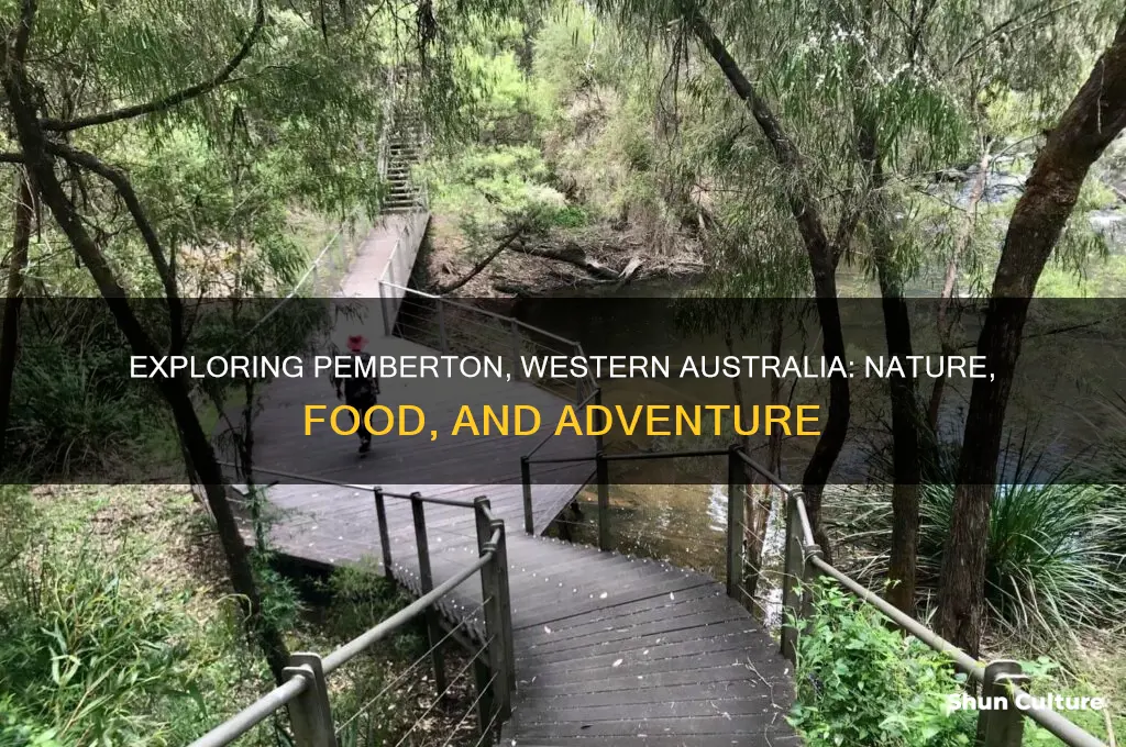 what to do in pemberton western australia