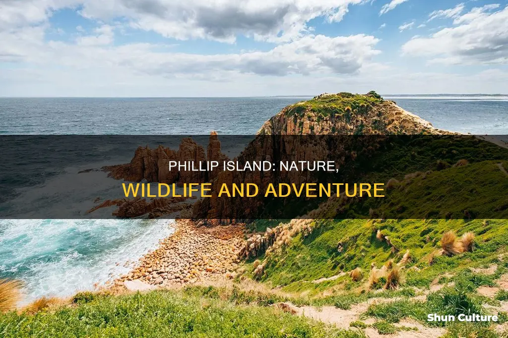 what to do in phillip island australia