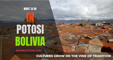 Exploring Potosí: A Bolivian Adventure Guide