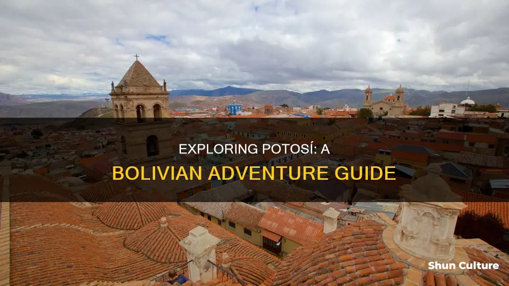 what to do in potosi bolivia