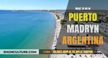 Exploring Puerto Madryn: Top Activities and Attractions in Argentina's Coastal Gem