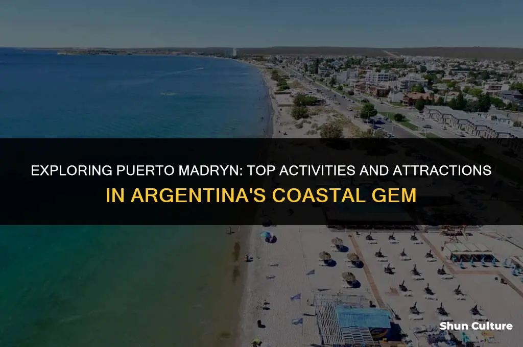 what to do in puerto madryn argentina