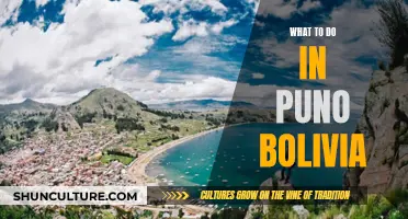 Exploring Puno, Bolivia: A Travel Guide to Adventure