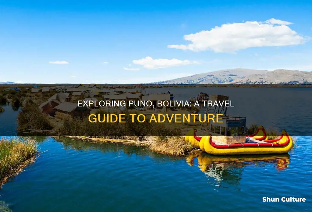 what to do in puno bolivia