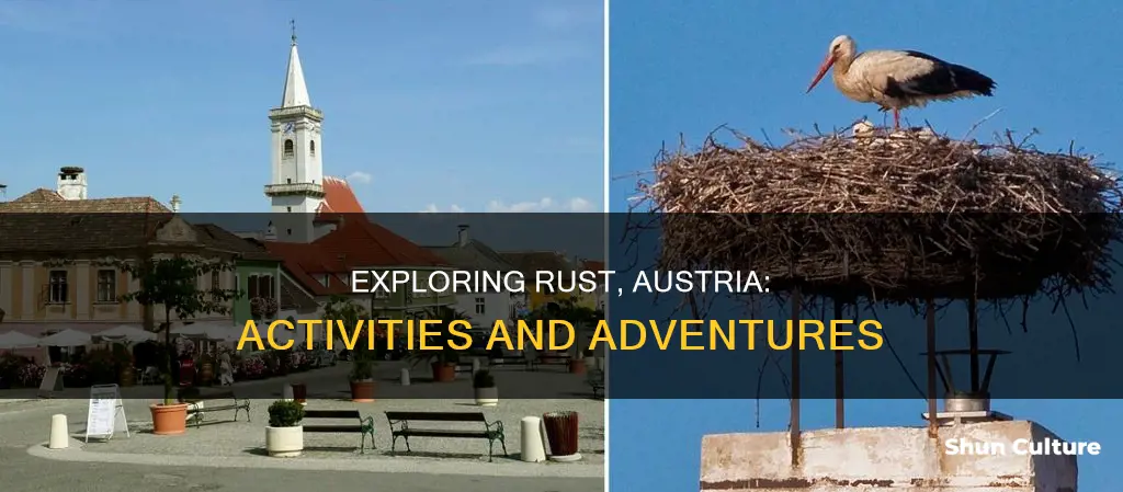 what to do in rust austria