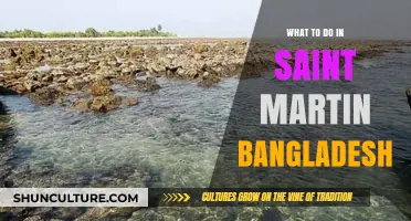 Exploring Saint Martin Island: Top Activities and Hidden Gems in Bangladesh