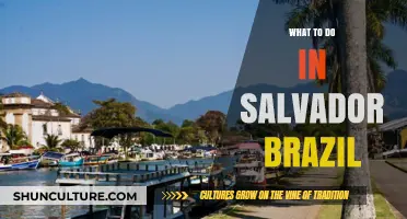Explore Salvador, Brazil: Top Attractions, Culture, and Hidden Gems