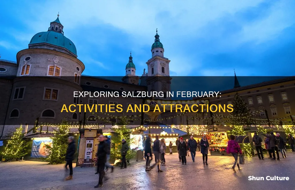 what to do in salzburg austria in February