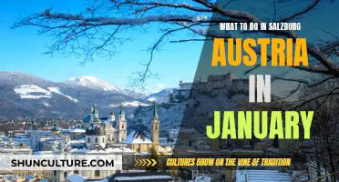 Winter Magic in Salzburg: January Adventures Unveiled