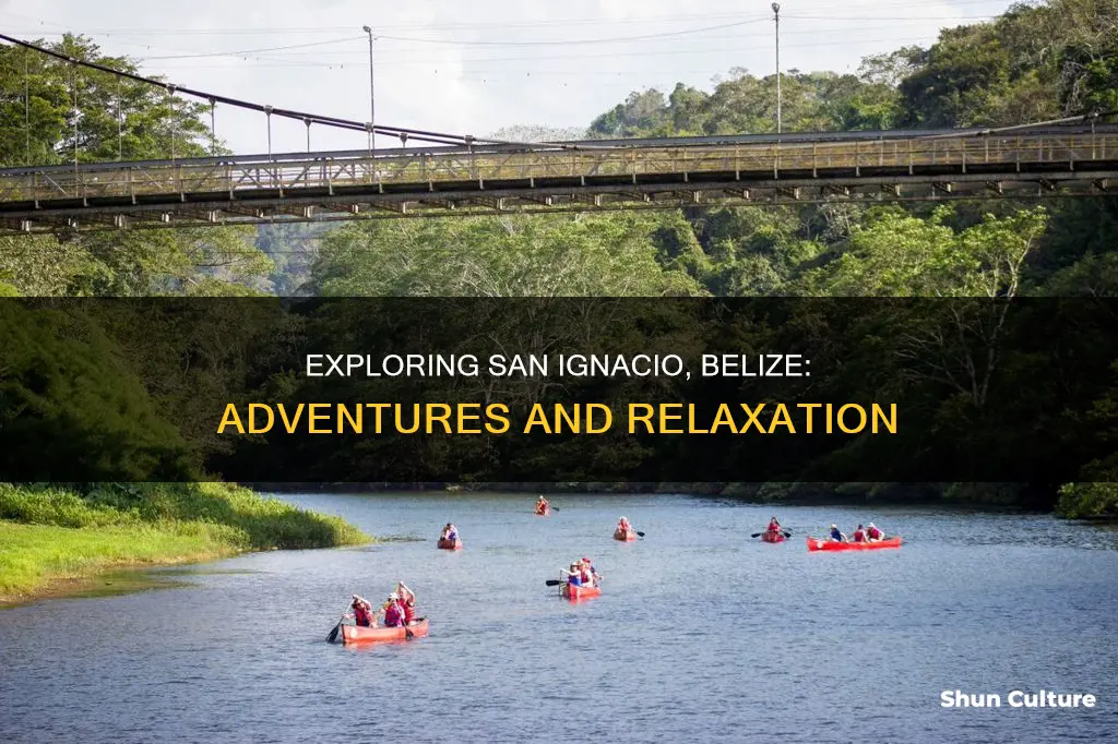 what to do in san ignacio belize