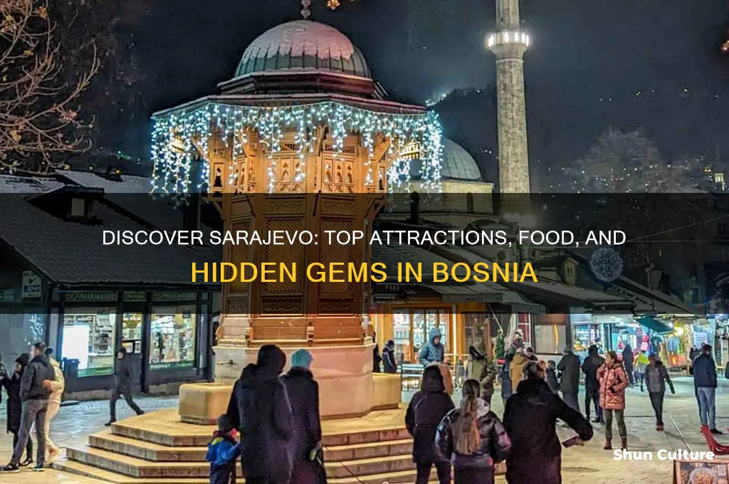 what to do in sarajevo bosnia