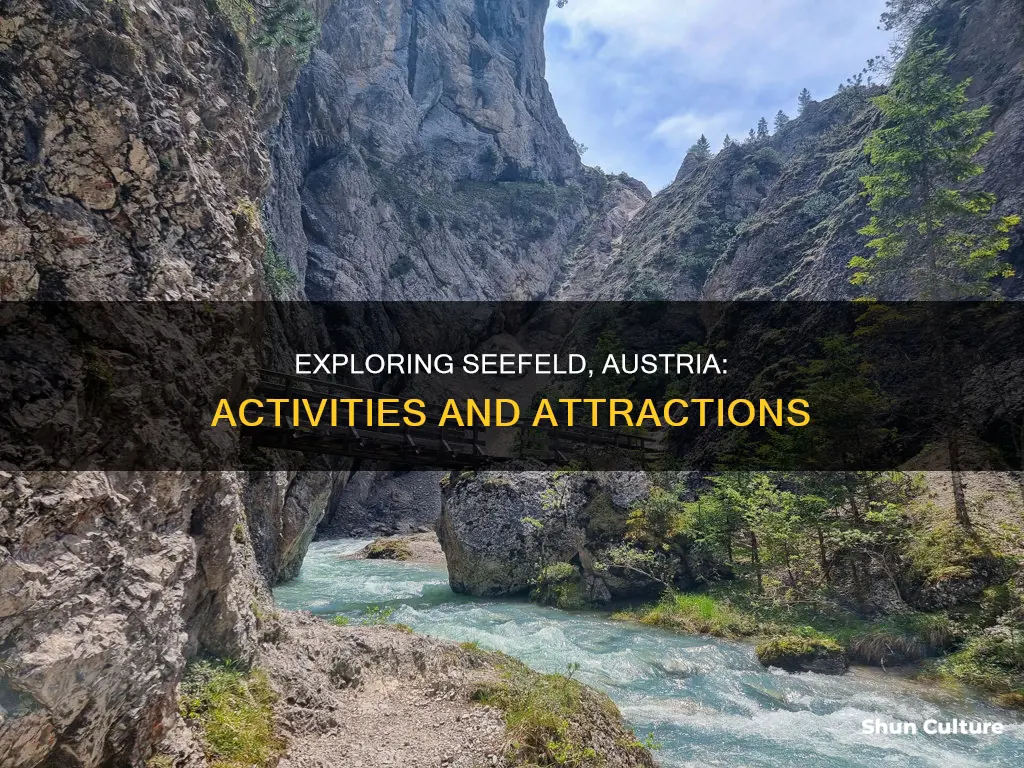 what to do in seefeld austria