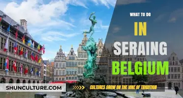 Discovering Seraing: A Guide to Belgium's Hidden Gem