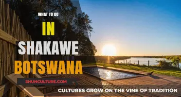 Discover Shakawe: Top Adventures and Hidden Gems in Botswana's Paradise