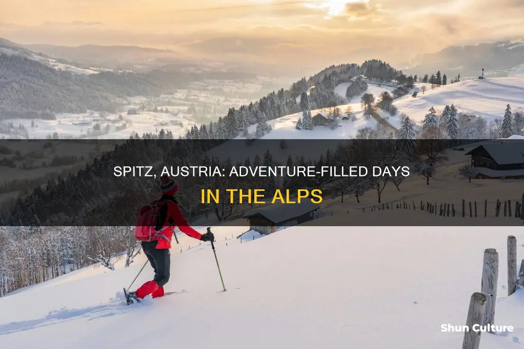 what to do in spitz austria