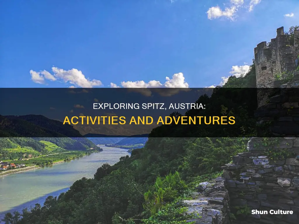 what to do in spitz austria