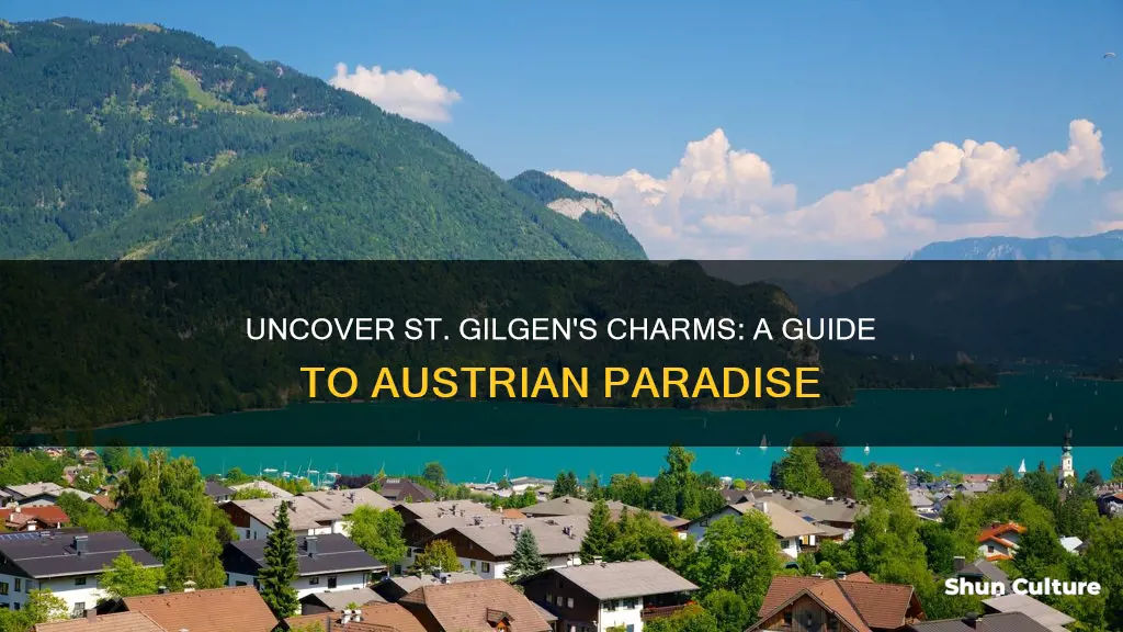 what to do in st gilgen austria