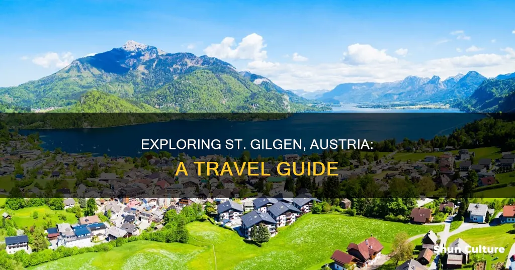 what to do in st gilgen austria
