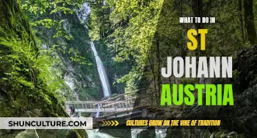 Explore Johann's Charm: A Guide to St. Johann's Austrian Adventures