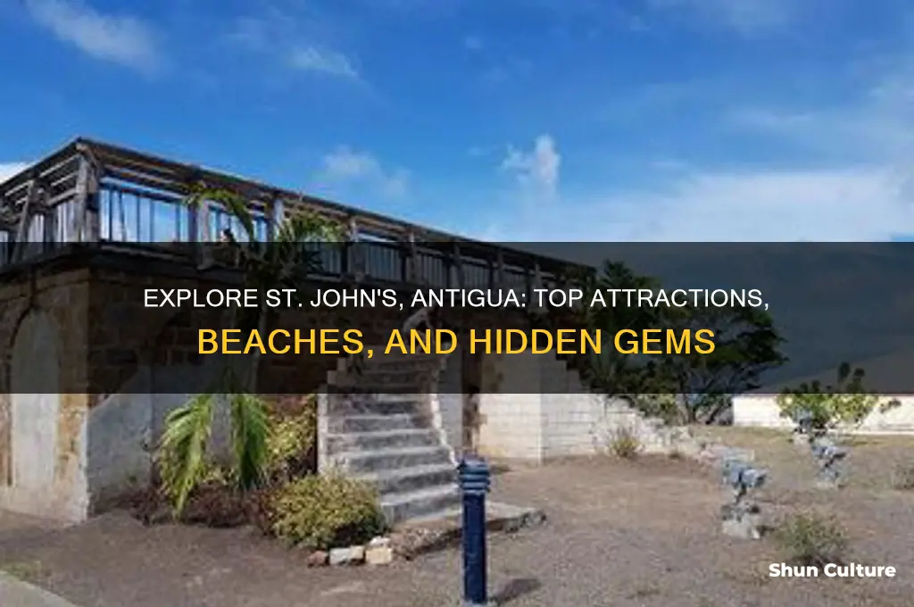 what to do in st johns antigua