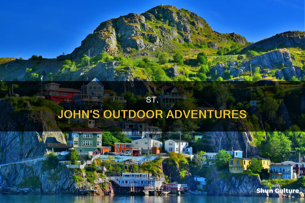 what to do in st johns new brunswick