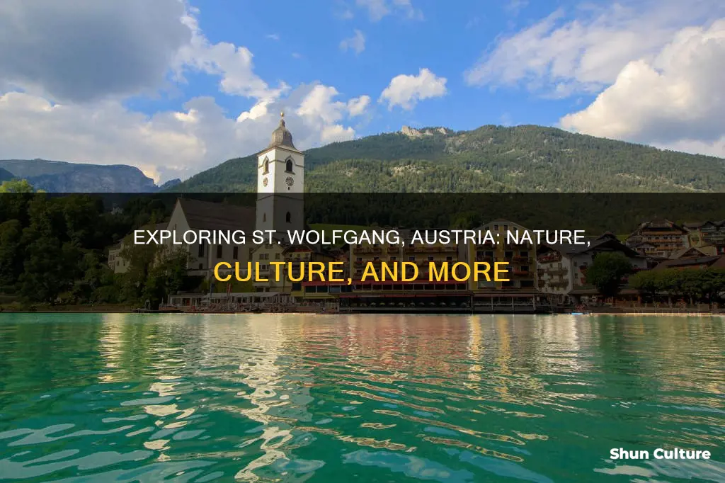 what to do in st wolfgang austria