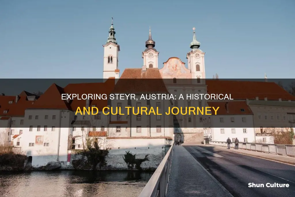 what to do in steyr austria