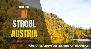 Explore Strobl's Charms: Adventure, Relaxation, and Local Delights