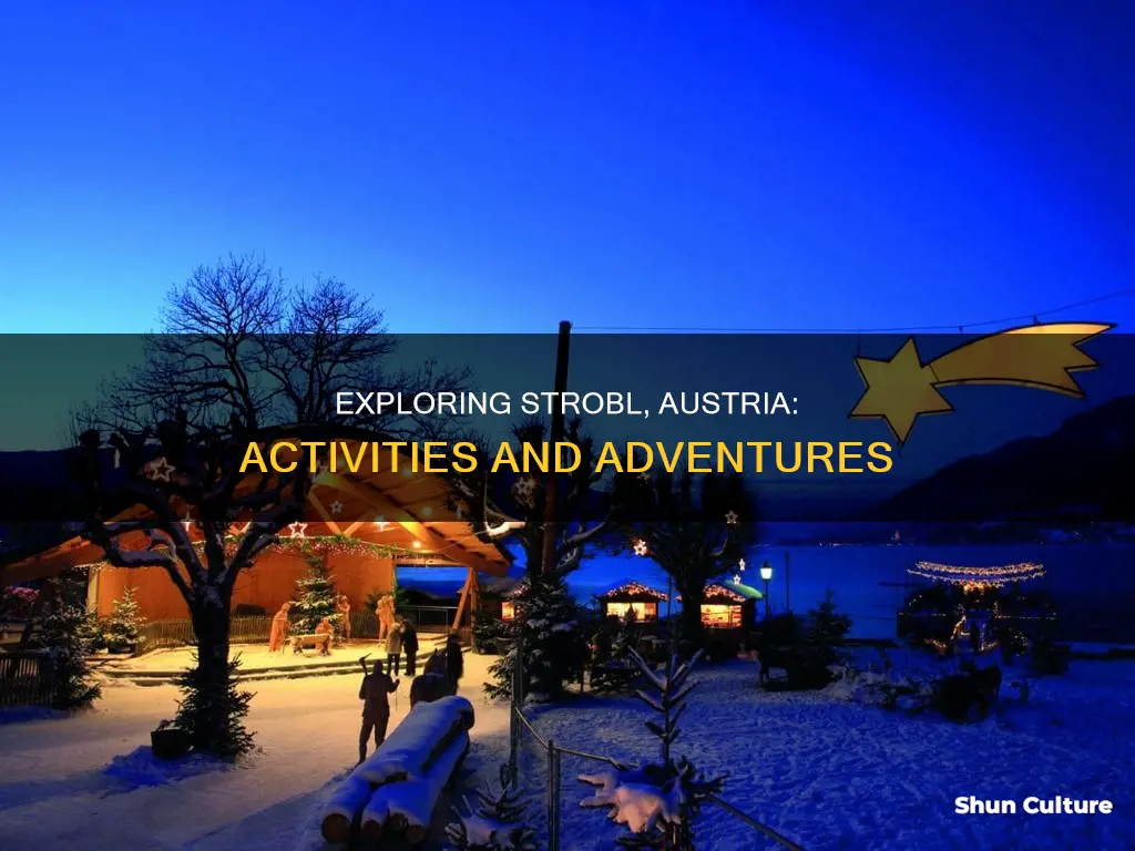 what to do in strobl austria