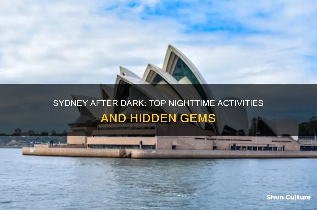 what to do in sydney australia at night