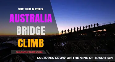 Sydney Bridge Climb: Essential Tips for an Unforgettable Adventure