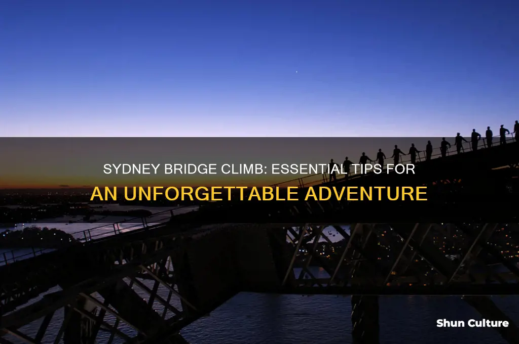 what to do in sydney australia bridge climb