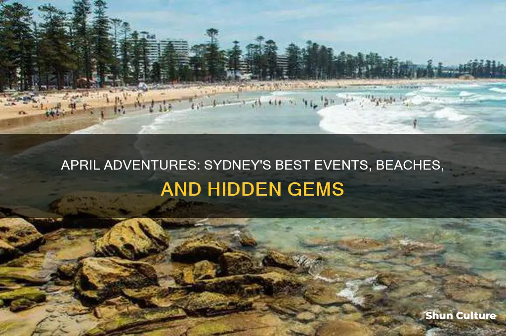 what to do in sydney australia in april