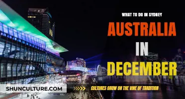 December in Sydney: Top Activities and Festive Highlights to Enjoy