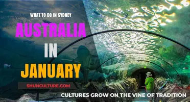 Sydney in January: Top Activities, Events, and Must-See Attractions