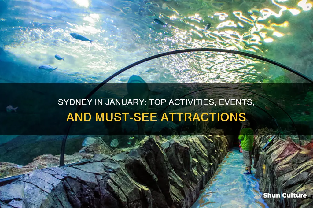 what to do in sydney australia in january