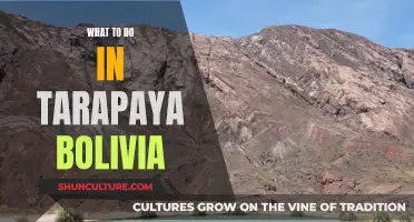 Exploring Tarapaya, Bolivia: A Travel Guide