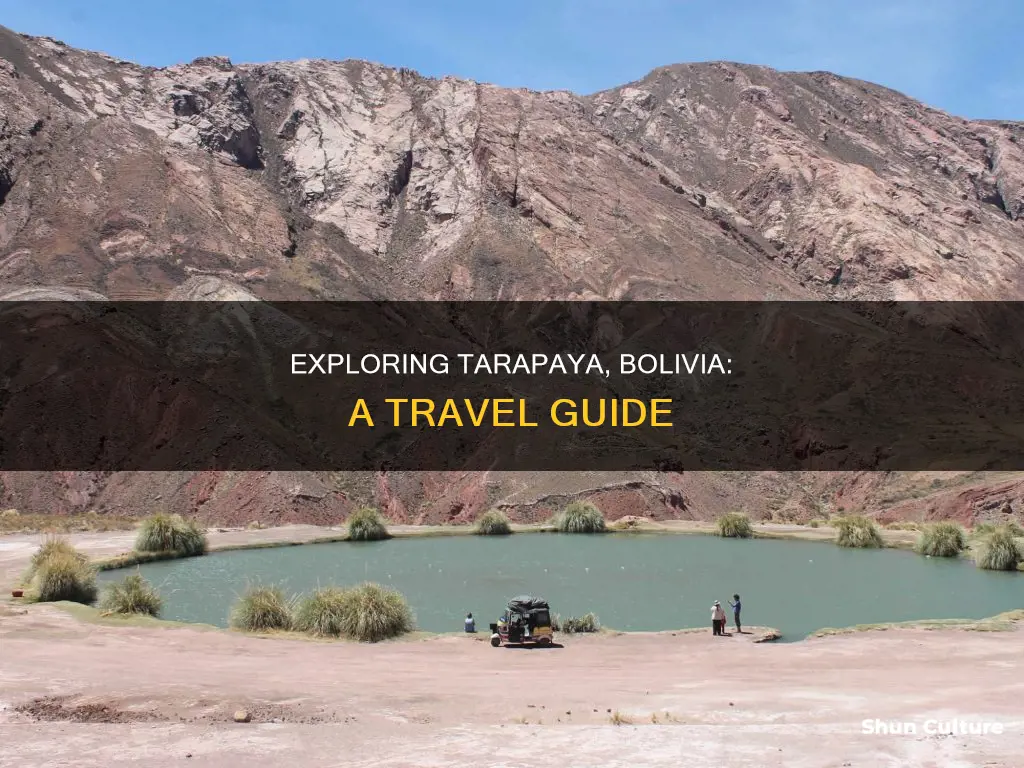 what to do in tarapaya bolivia