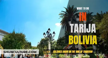 Exploring Tarija, Bolivia: Activities and Adventures