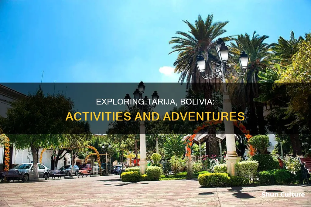 what to do in tarija bolivia