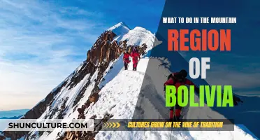 Exploring Bolivia's Mountainous Region: Activities and Adventures