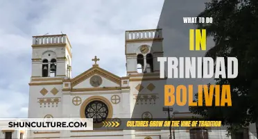 Exploring Trinidad, Bolivia: A Complete Travel Guide