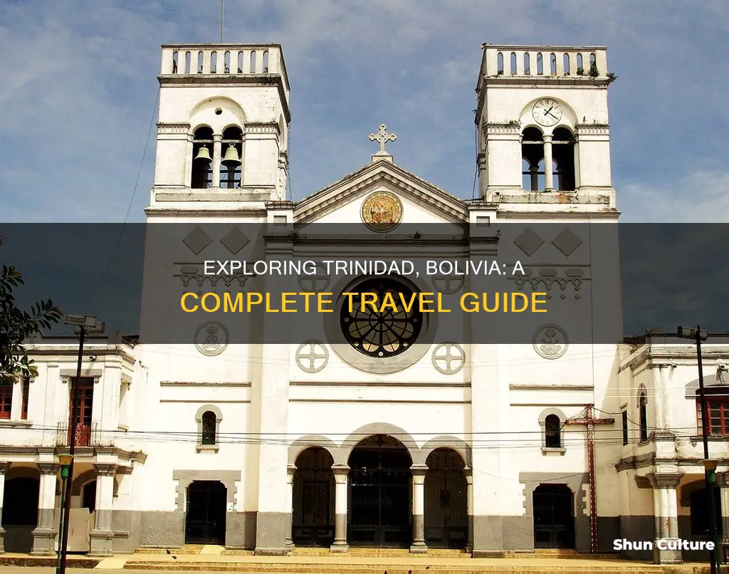 what to do in trinidad bolivia