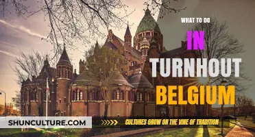 Discover Turnhout: A Guide to Belgium's Hidden Gem